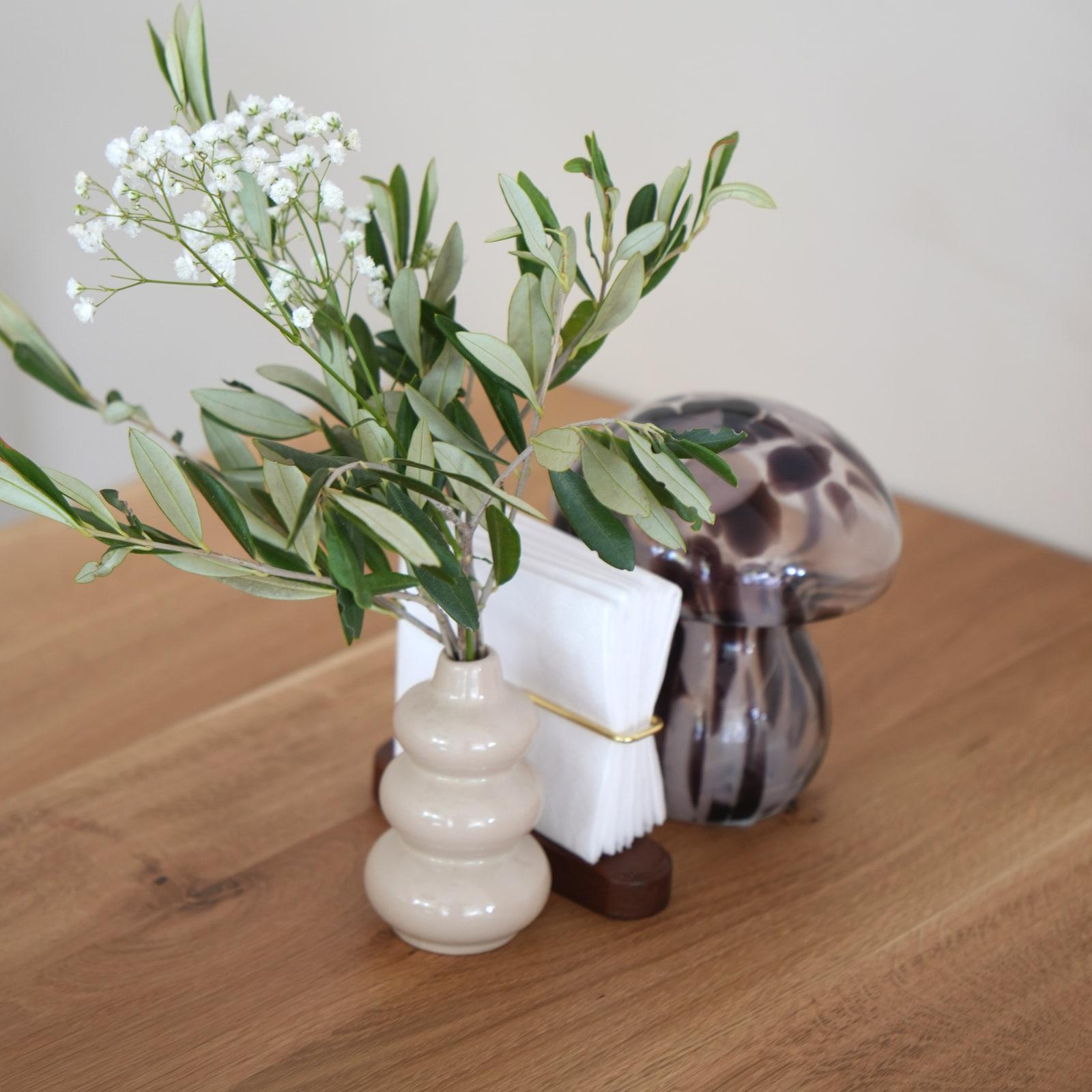 Rametto di ulivo in un vaso di ceramica su un tavolo di legno, da HRANA